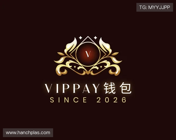 知道VipPay钱包